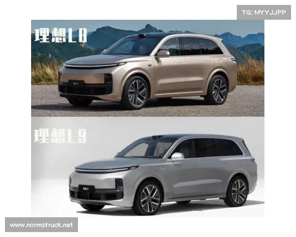 理想汽车陷入背刺风波遭遇多方质疑品牌信任危机加剧 理想汽车陷入背刺风波遭遇多方质疑品牌信任危机加剧